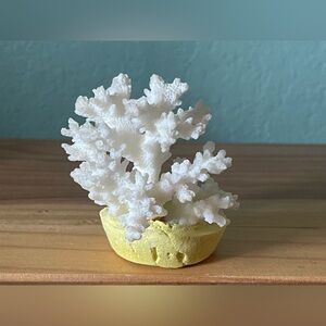 Real Natural Sea Coral About 3” White Decor with Handmade BASE Vintage